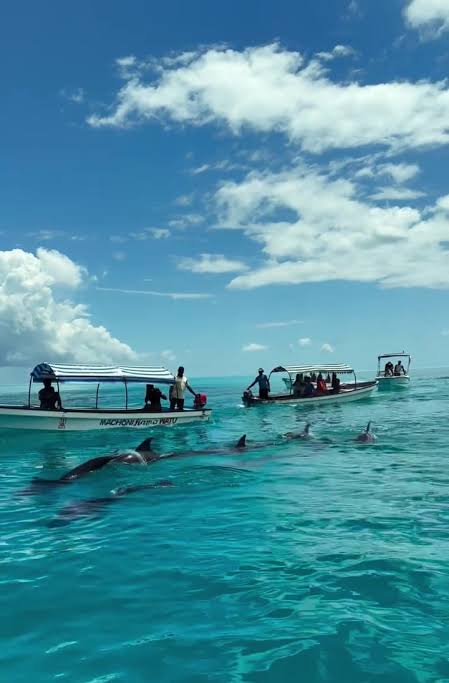 Open-water boats